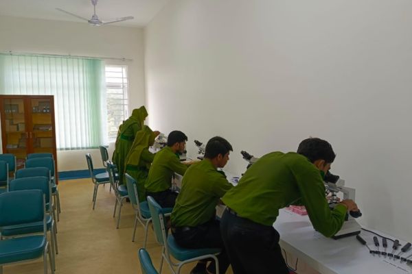 College Campus